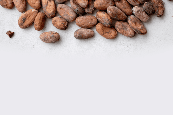 chocolat | Nos produits