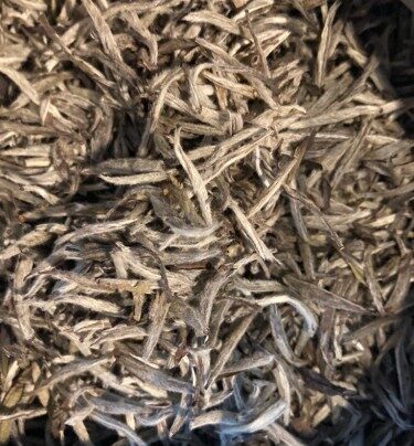 Yin Zen ou aiguille d'Argent " Thé rare"