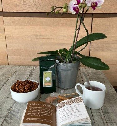 Infusion fruitée Pomme cannelle