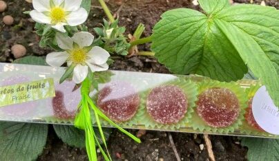 Les perles de fruits : selon les fruits de saison