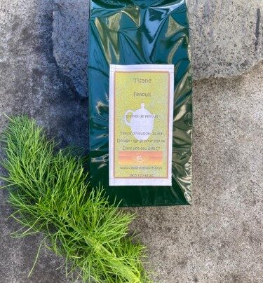 Tisane de fenouil :Graine de fenouil